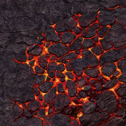 msh_h_bot08.png
