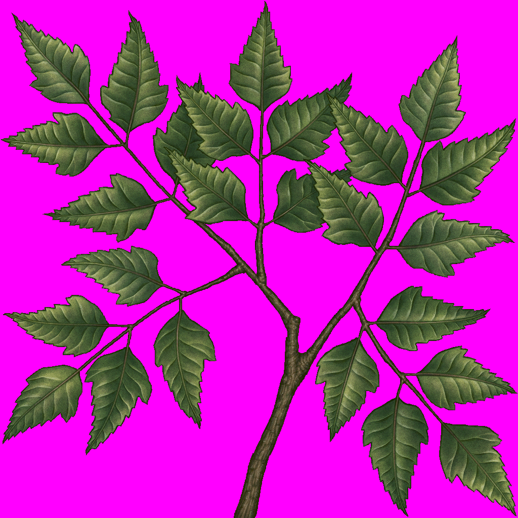 treesong_d_07.png