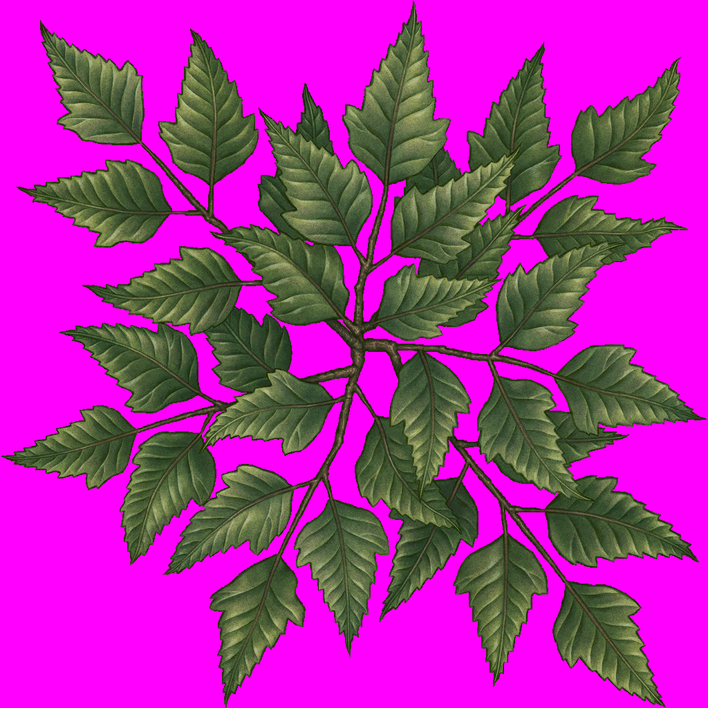 treesong_d_08.png
