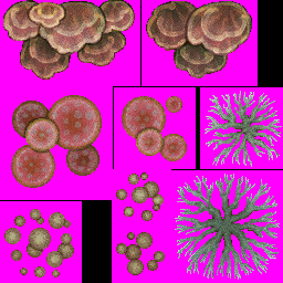 treesong_d_11.png