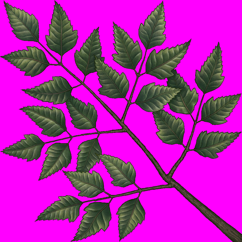 treesong_d_13.png