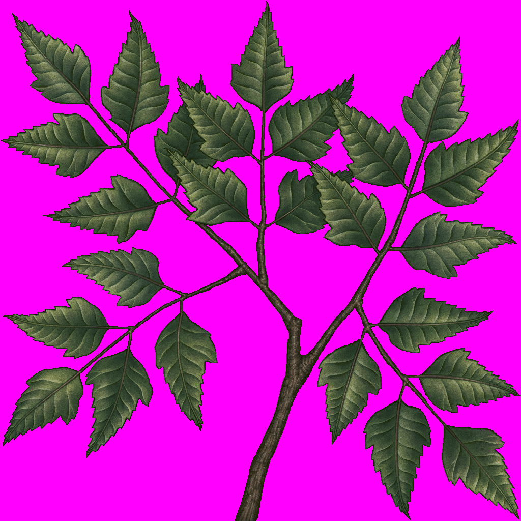 treesong_d_14.png
