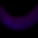 voidfruit_d_05.png