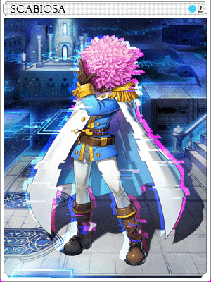 Scabiosa_Card.png