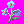 Ch1_Myosotis_.png