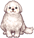 여_C_Great_Pyrenees.png
