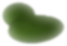 mus_moss_1.png
