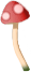 mus_mush_2.png