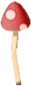 mus_mush_3.png