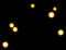 mus_spore_b_02.png
