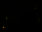 mus_spore_b_12.png