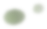 mus_moss_4.png