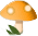 mus_mush_2.png