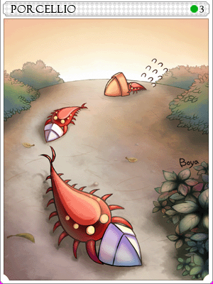폴셀리오.png