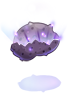 Etel Carnium