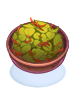 Savory Herb Salad (Str+1)