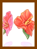 Hibiscus Box