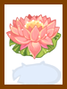 Water Lily Crown Box
