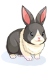 Costume: Tuxedo Rabbit