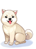 Costume: Kishu Dog