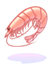 Fresh Lobster