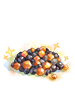 Stamina Meteorite Powder