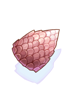 Rgan Shell