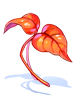 Heroria Red Herb