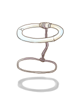 Pet Soul Ring