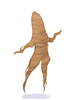 Ginseng