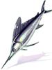 Marlin