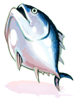 Tuna