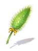 Beginner Foxtail Staff