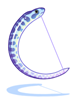 Zebra Eel