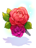 Lush Rose