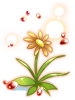 Illusion Fancy Flower
