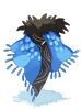 Water Dragon Coat
