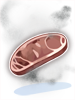 Stinky Rotten Meat