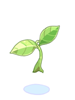 Fresh Tea Leaves