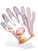 Alchemy Glove