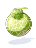C Mini Melon
