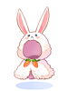 Costume Fluffy Rabbit Cape