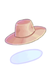 Level 2 Hat