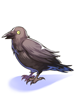 Raven Of Tomb