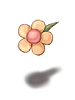 F Centimental Flower C