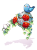 Paradise Bird Cage