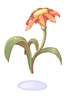 Beautiful Flower