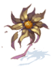 Dried Flower