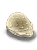 Silicone Shell