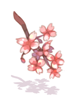 [衣装] 紅桜